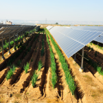 Unlocking Sustainable Agriculture with PV Systems in Italy