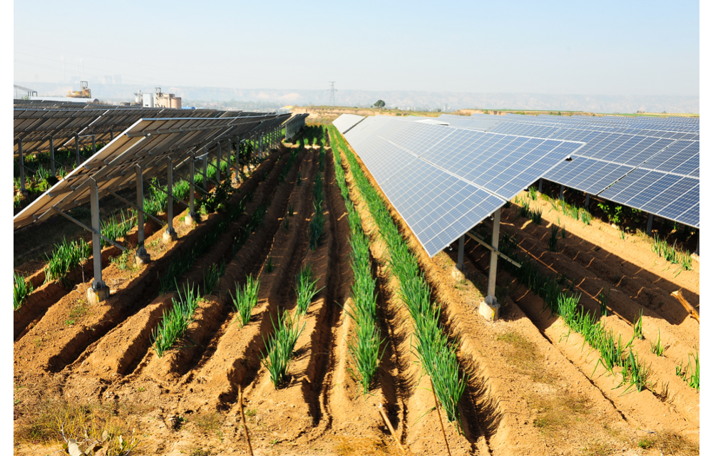 Unlocking Sustainable Agriculture with PV Systems in Italy