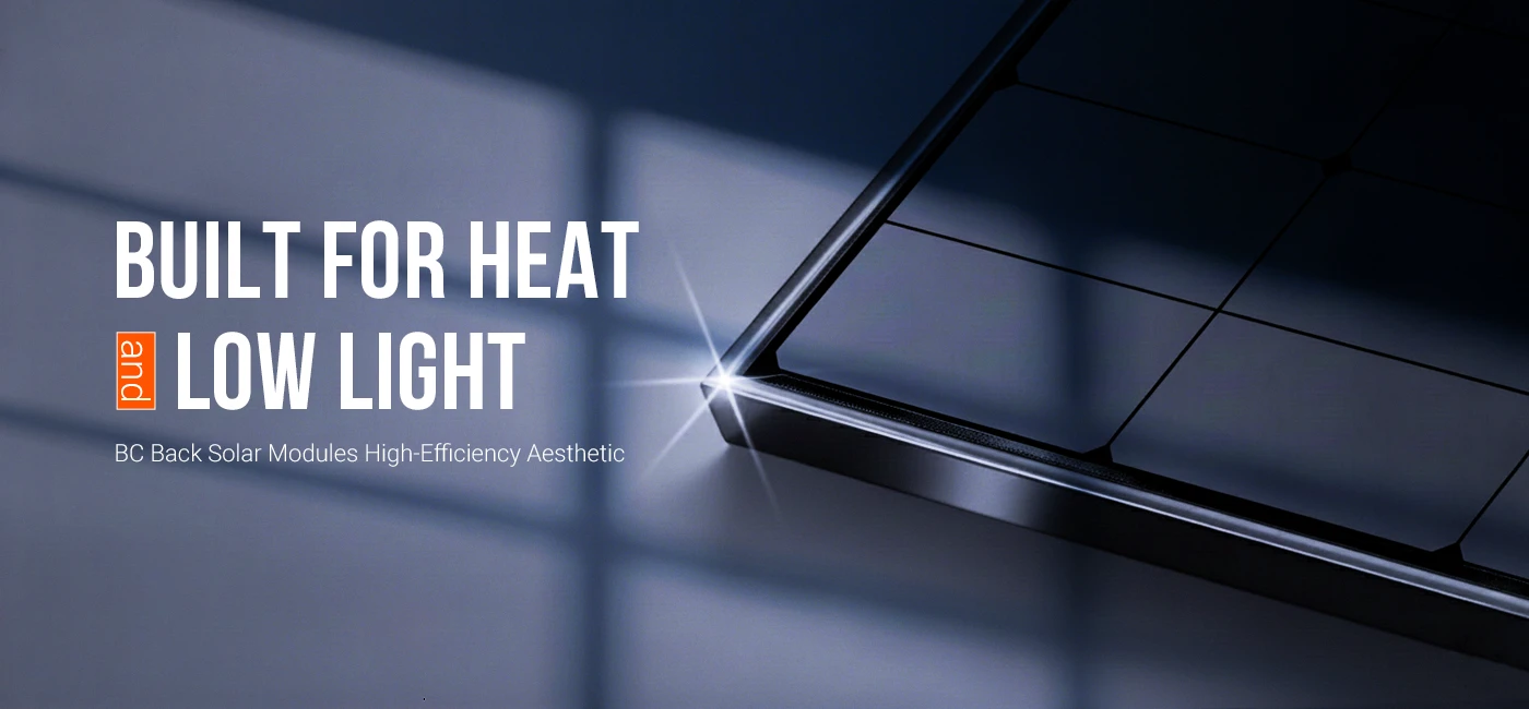 Built for Heat and Low Light-1