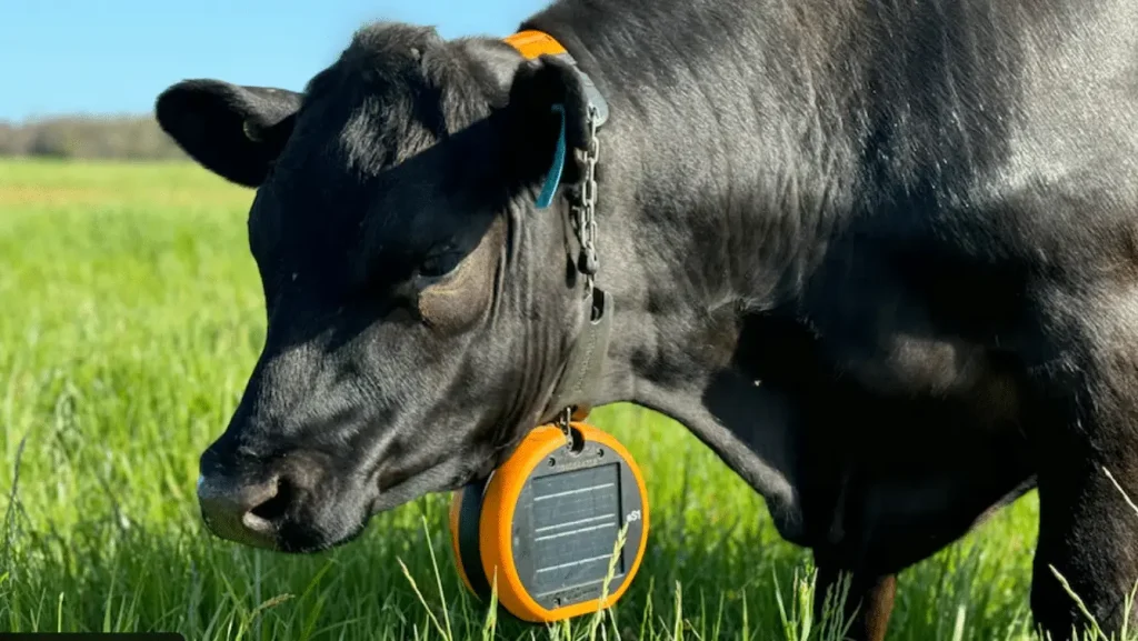 Solar Virtual Fencing
