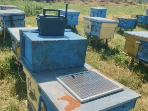 60W Off-Grid Solar Kit for Beehive Defense