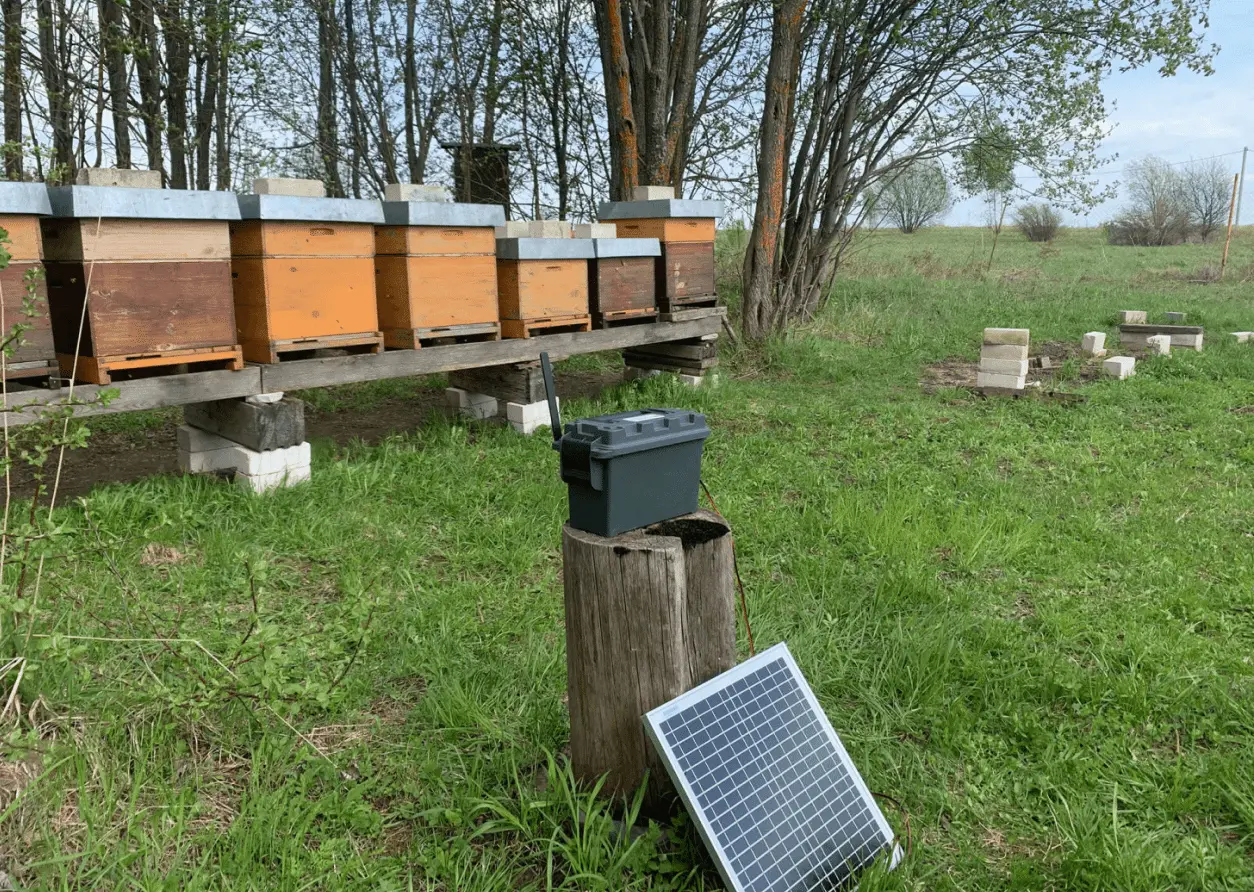 Electric Harp & BeeFence30W Solar Panel for Vespa velutina Non-Chemical Control