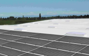 Best Flexible Solar Panel Manufacturers