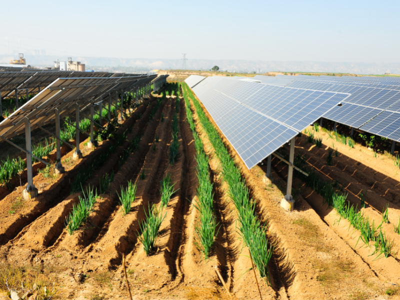 Unlocking Sustainable Agriculture with PV Systems in Italy